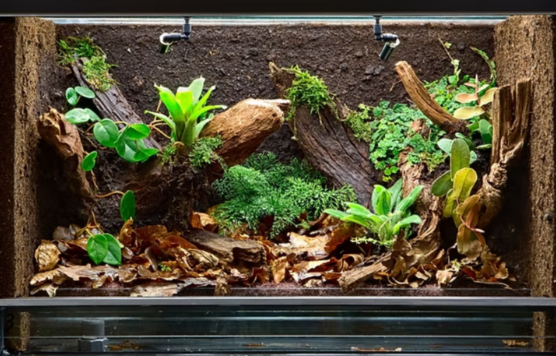 Bioactive Leaf Litter Guide