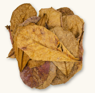Catappa Leaf Litter for Reptile Bedding