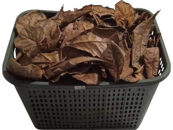 4 Step Safety Process