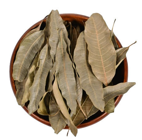Dried Mango Leaves for Community Tanks and Reptiles