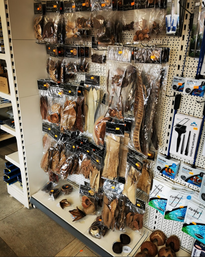 Pet Shop Display with Catappa Leaves